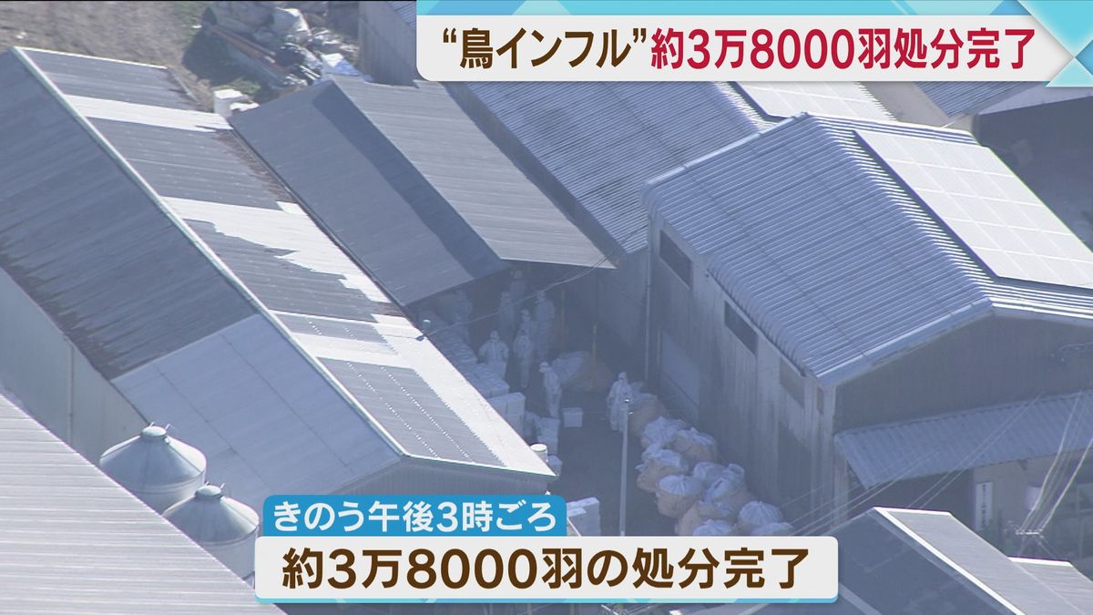 全国初の鳥インフルエンザ確認　ニワトリ約3万8000羽の殺処分完了　佐賀県鹿島市