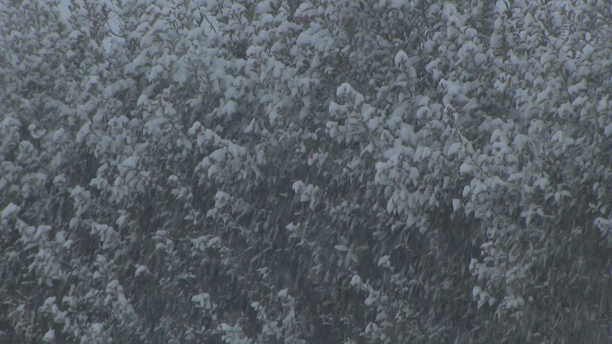 【気象台】佐賀の平地で7日夕方から8日午前中にかけて大雪の恐れ　降雪量の予想を詳しく