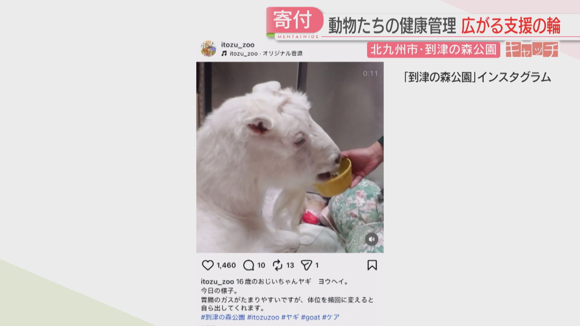 2ページ目 動物のえさ代は年間2000万円以上「到津の森公園」物価高での