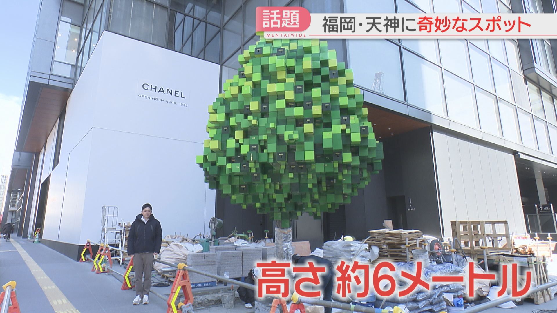 天神・版木 天神に「ゲームみたいな木」SNSで話題 再開発ビル前の新たな待ち合わせ