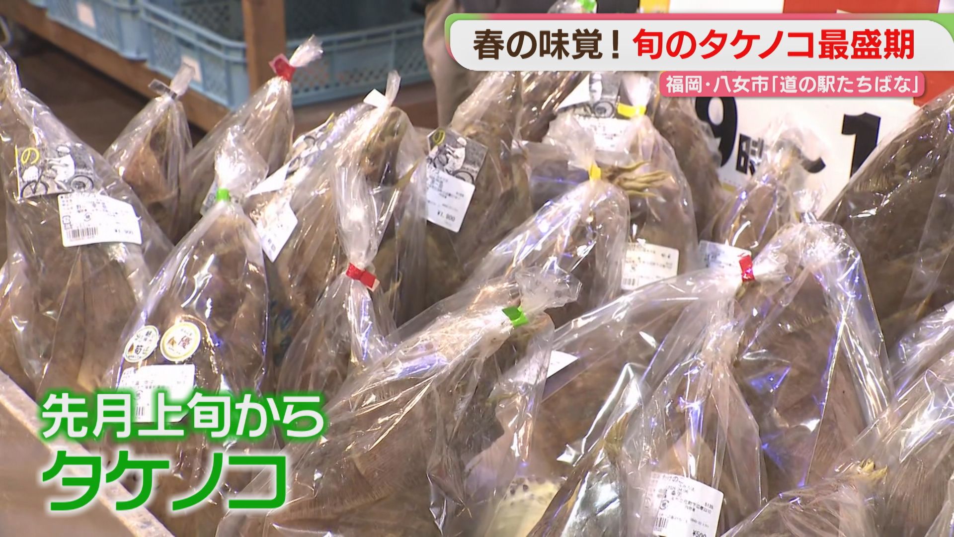 春の味覚タケノコ 道の駅にずらり 大釜でゆでるサービスも 福岡（2026