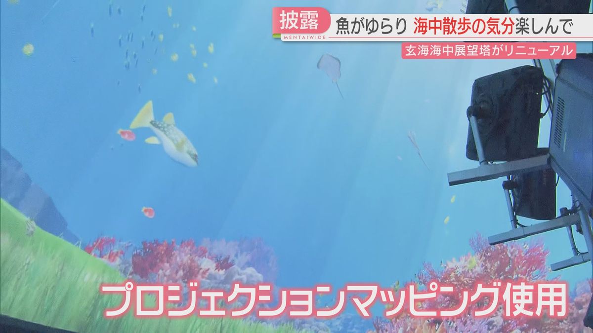 半世紀ぶりのリニューアル　日本海側で唯一の海中展望塔　水深7メートルで本物の魚とプロジェクションマッピングを楽しんで　佐賀