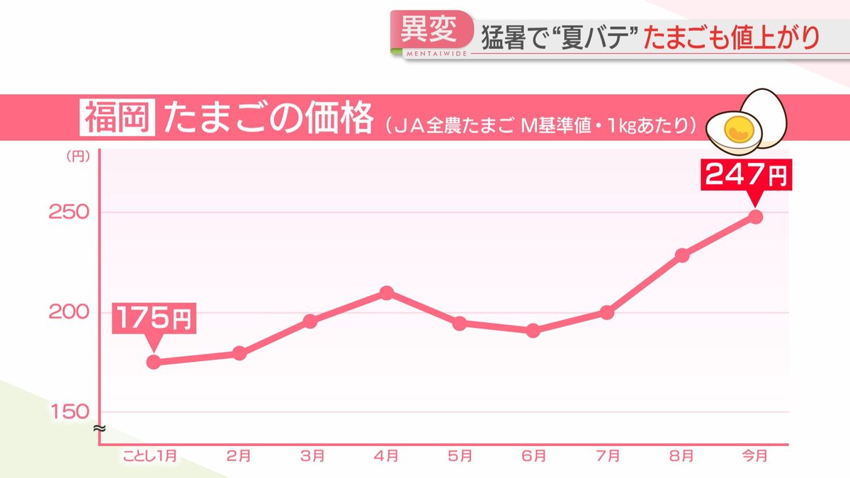 たまごの価格の推移