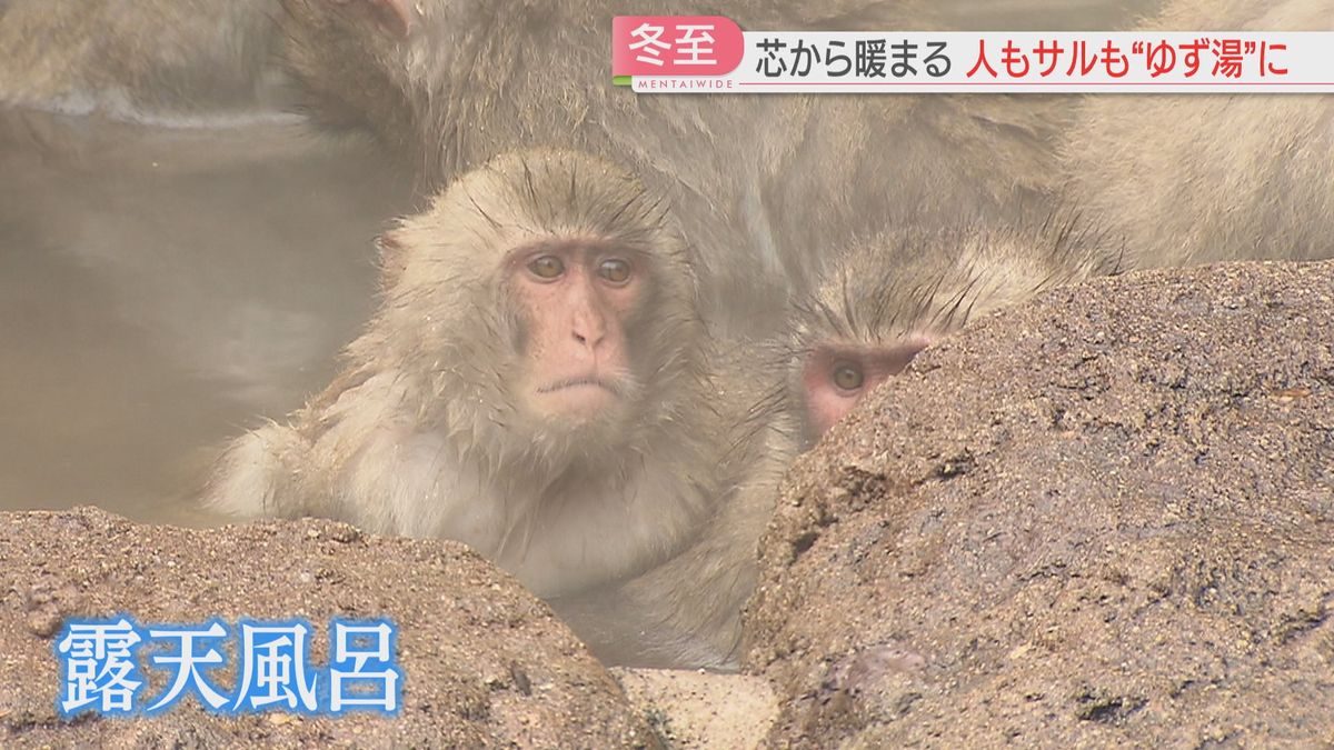 サルも「ゆず湯」に