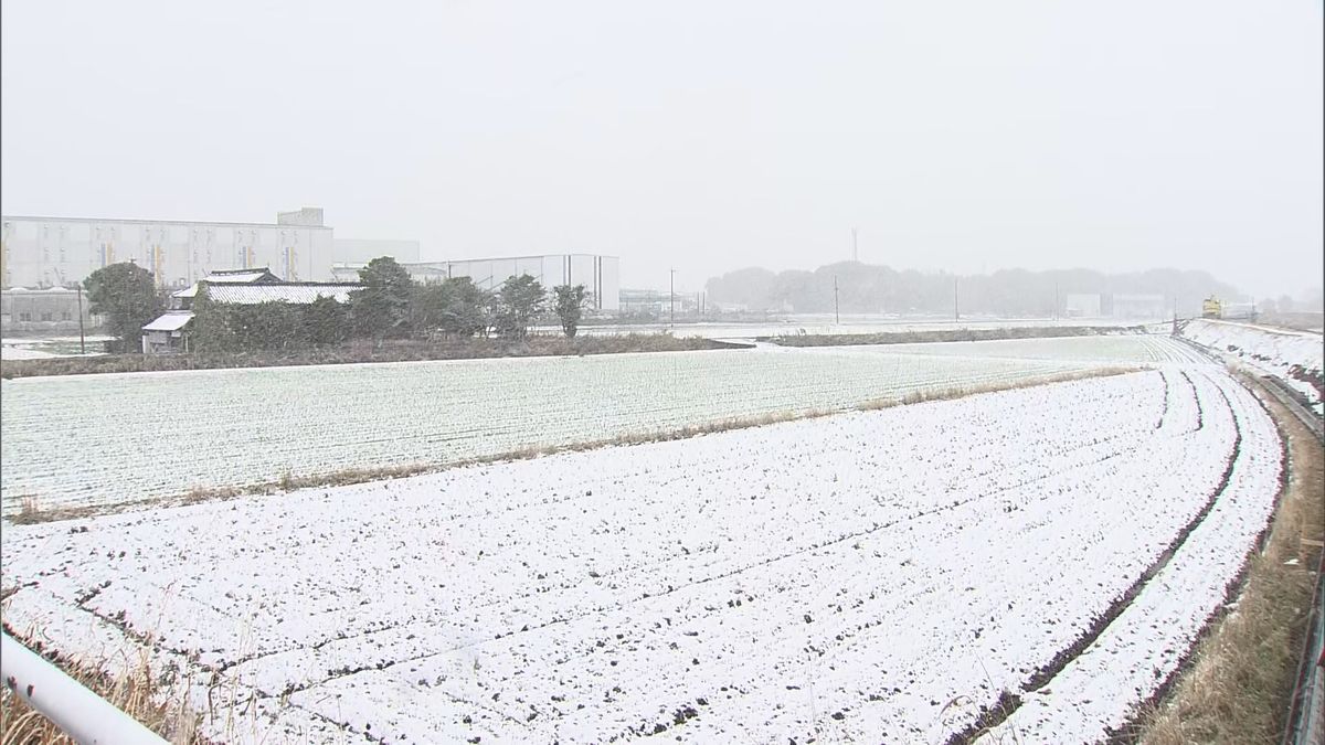 【気象台】佐賀で7日夕方から8日朝にかけて平地でも大雪の恐れ　暴風雪にも警戒　降雪量の予想を詳しく