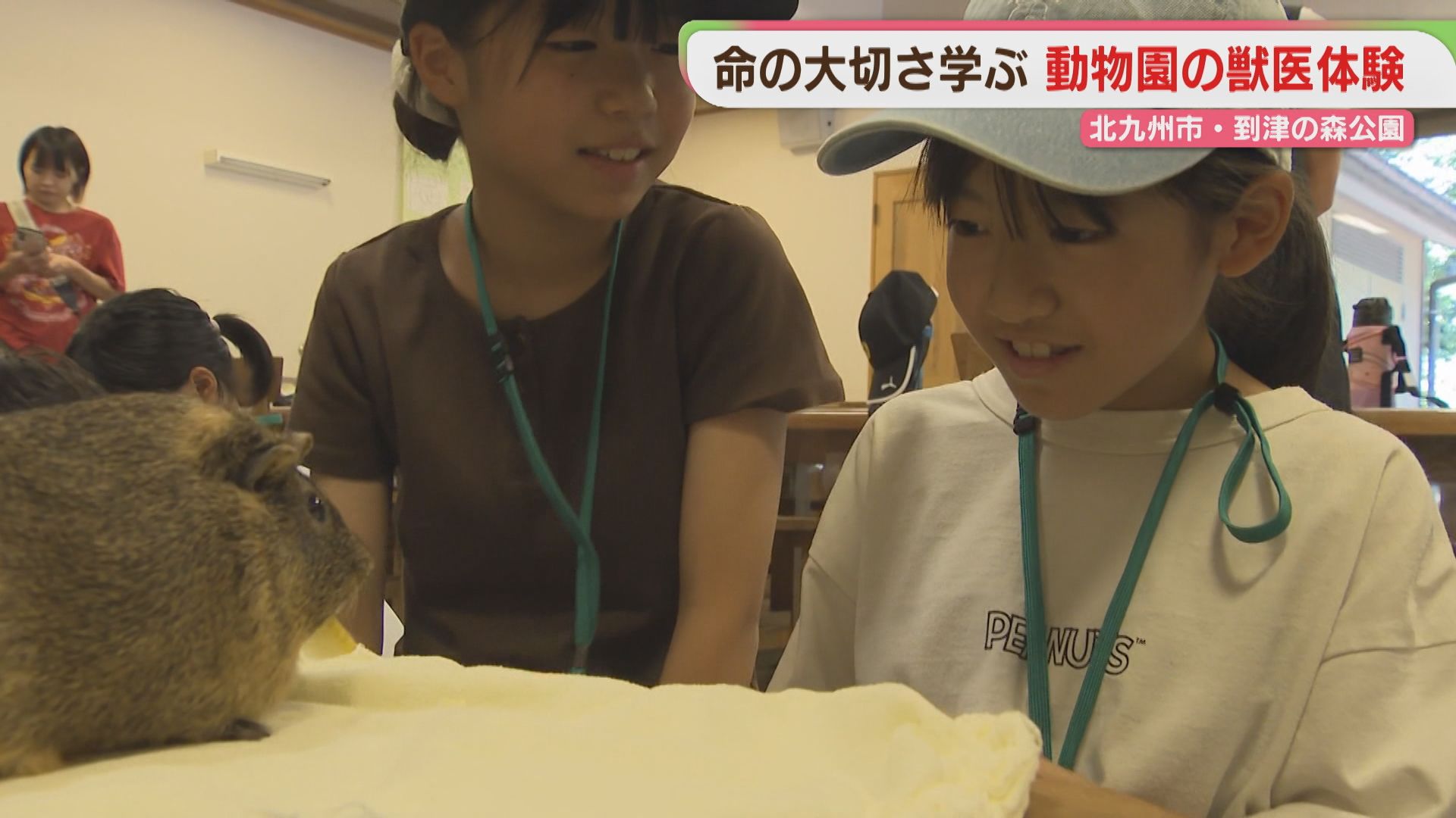 命の大切さ学ぶ 子どもたちが動物園の獣医師の仕事を体験 北九州市小倉