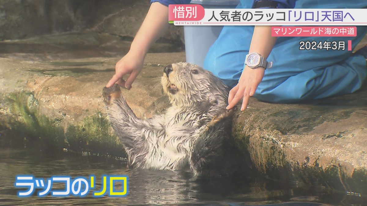 マリンワールド海の中道