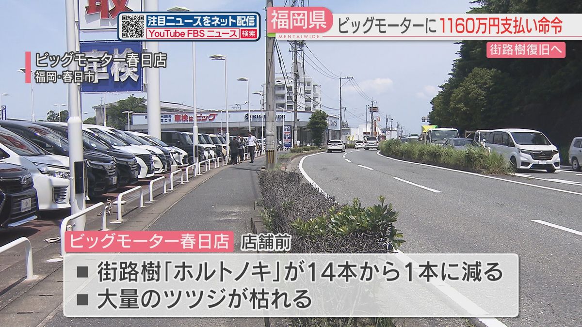 1160万円の支払いをビッグモーターに命じる　街路樹の復旧や土壌入れ替え費用として　福岡県