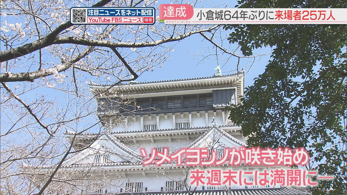小倉城のソメイヨシノは来週末に満開予想