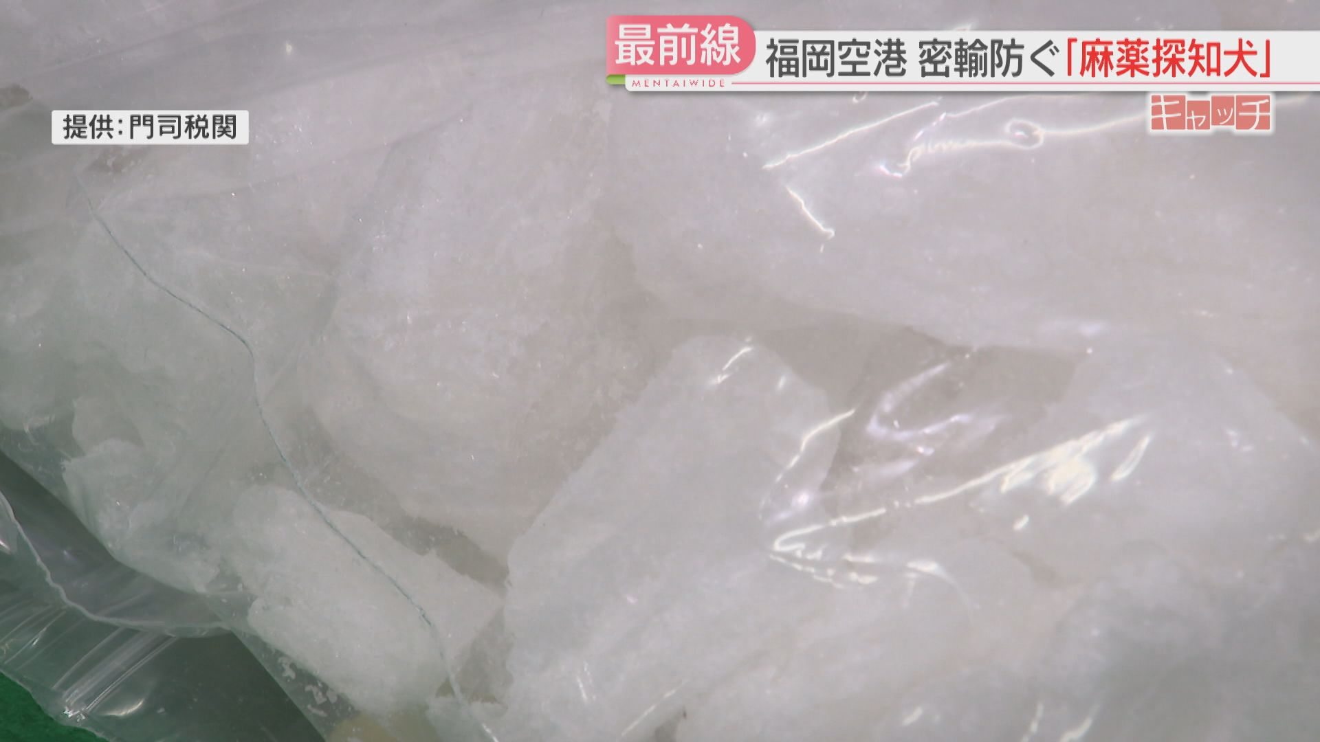 密着】「Find it！」新人ハンドラーと麻薬探知犬「オーク」福岡空港で
