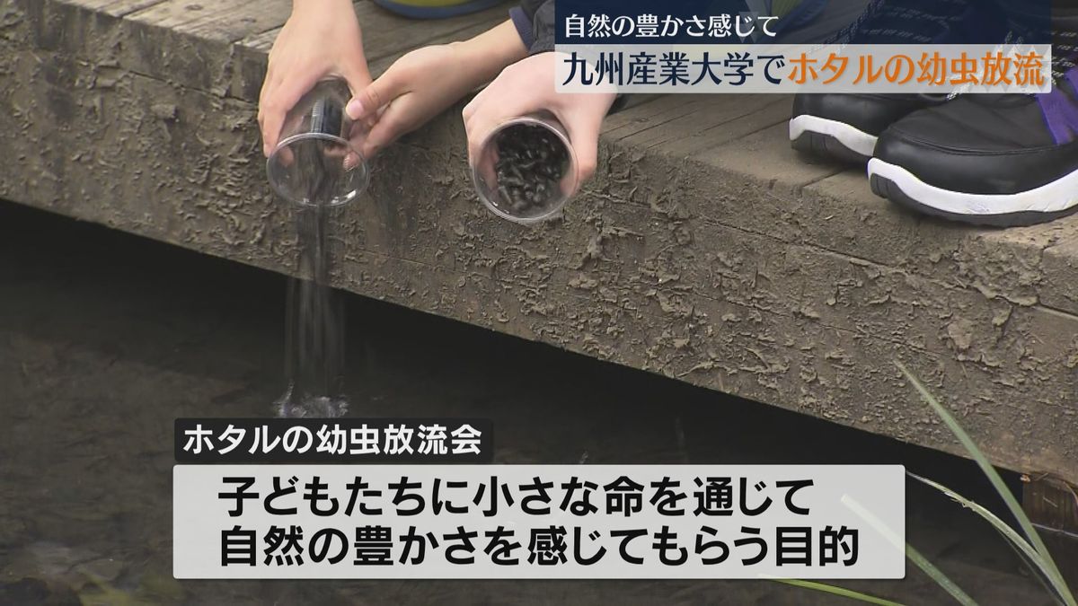 自然の豊かさ感じて！九州産業大学でホタルの幼虫放流会 5月下旬に観賞会も