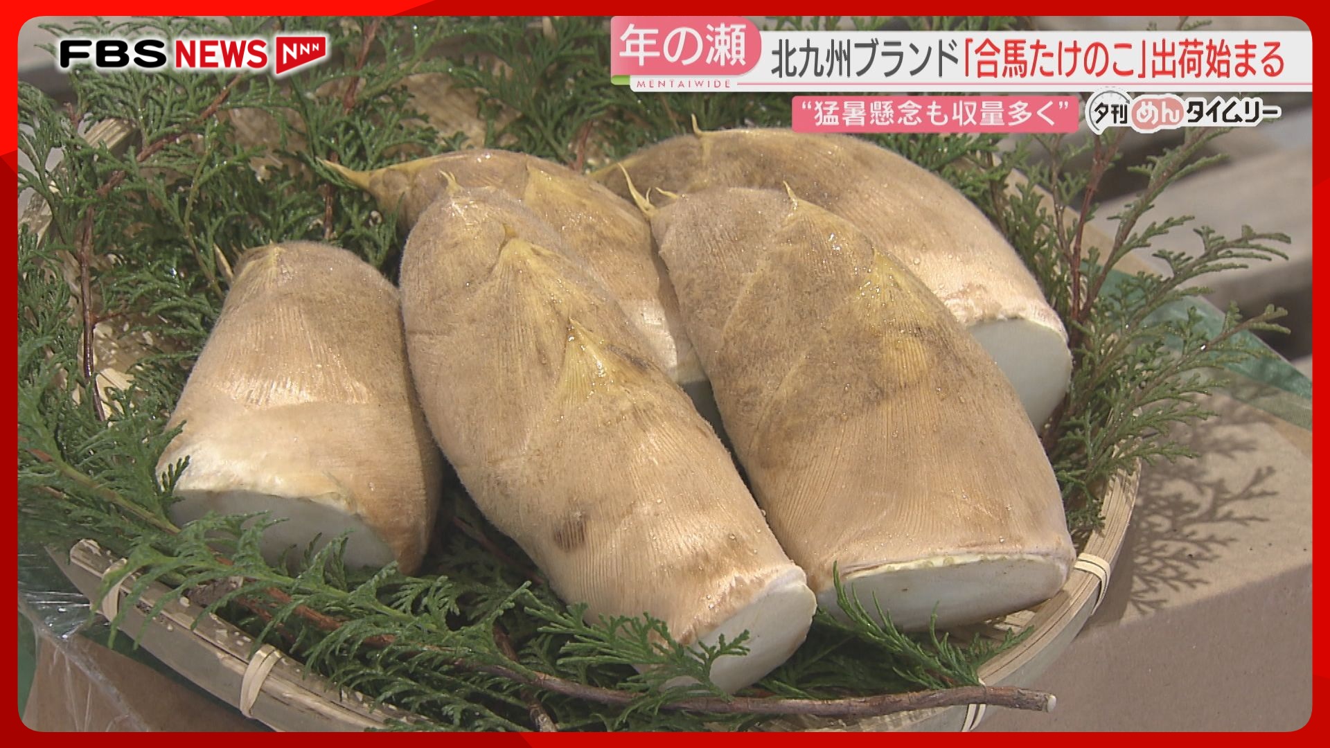 合馬たけのこ 13本 2kg 福岡県産 ブランド食材「合馬たけのこ」出荷始まる 猛暑懸念も収穫量は多く 初