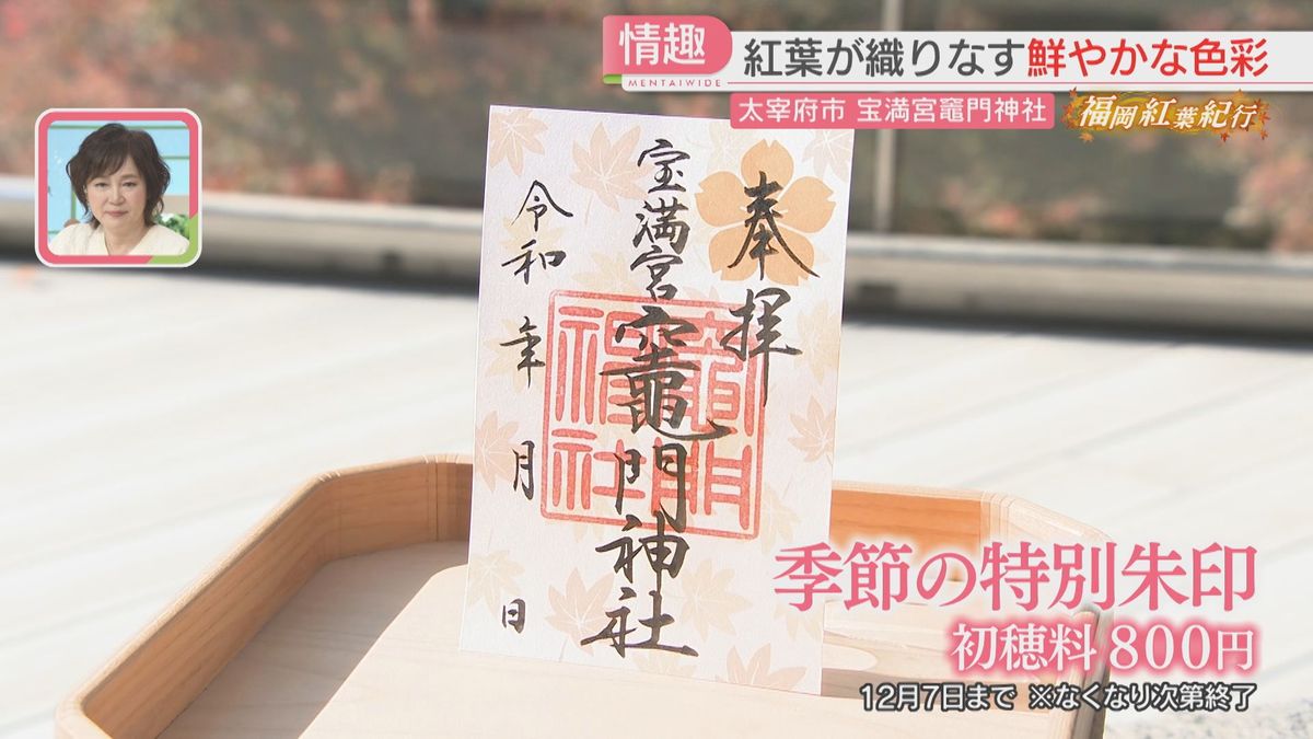 太宰府市の竈門神社で紅葉鮮やか 季節限定の御朱印 色づきに合わせて 
