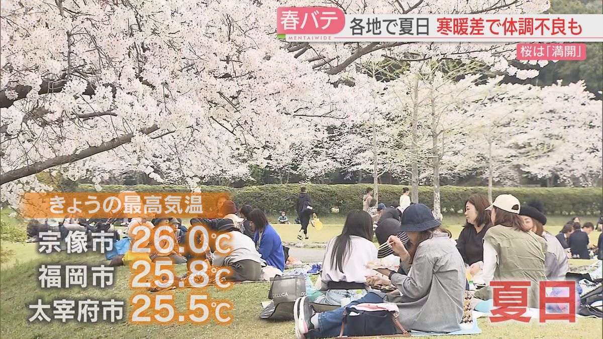 福岡市や太宰府市で「夏日」に　満開の桜の下で「暑い」　寒暖差で「春バテ」に注意　対策は睡眠