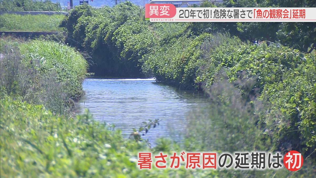 【猛暑】久留米市と太宰府市で38.4℃　全国で4番目に暑かった　20年以上の歴史を誇るイベントは初めて暑さで延期に　福岡