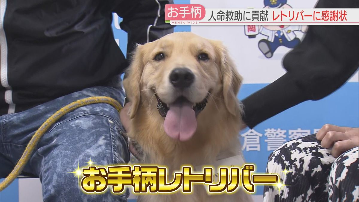 お手柄ゴールデンレトリバー“ハッピーくん”に感謝状とおやつ 男性救助