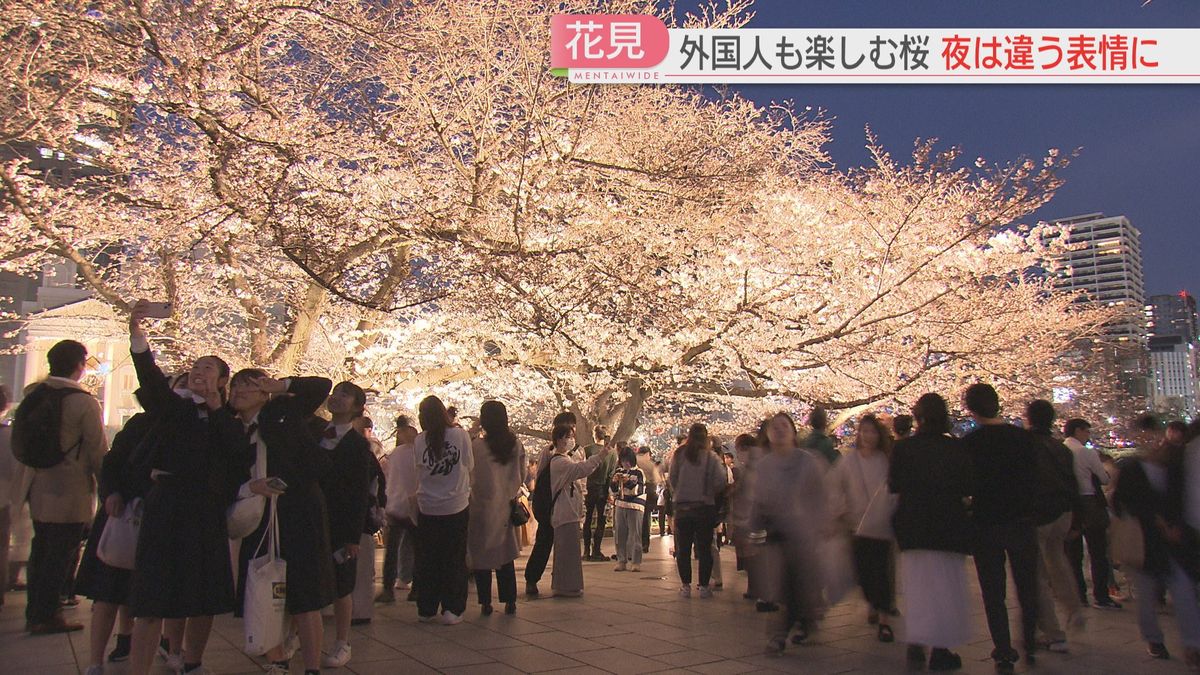 【花見ウォッチング】小倉城天守閣の最上階のカフェで楽しむ桜　舞鶴公園では留学生が帰国前の思い出づくり　ライトアップで夜桜も　福岡