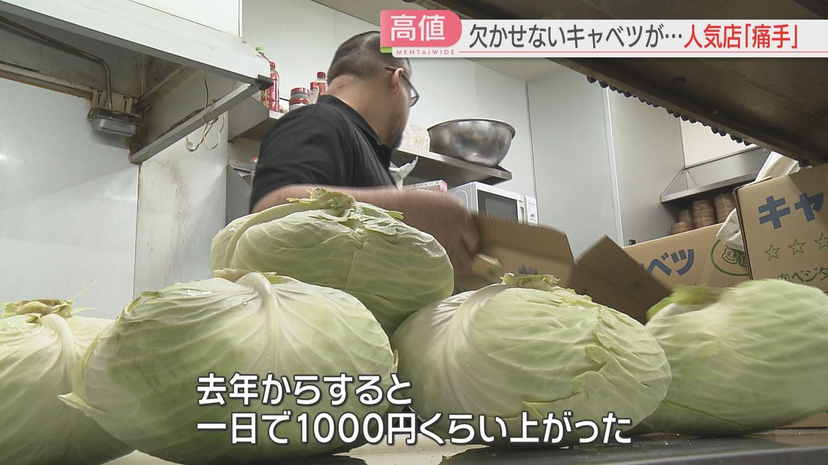 キャベツの値上がりは飲食店に痛手