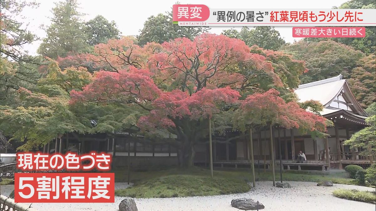 雷山千如寺大悲王院