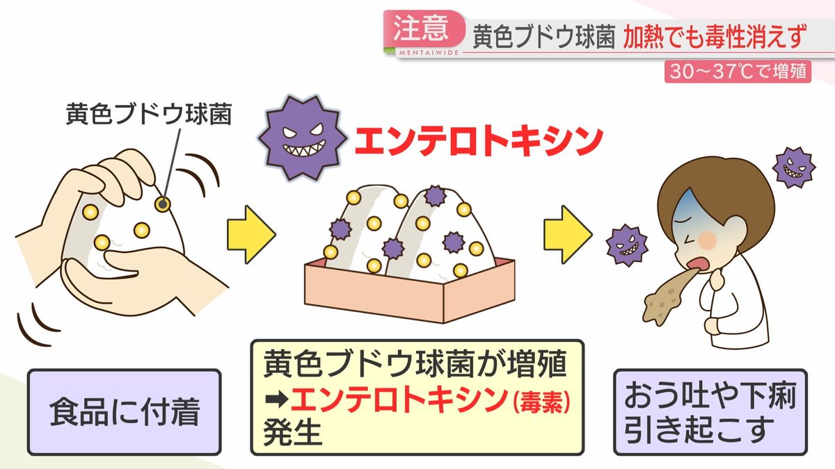 エンテロトキシンとは