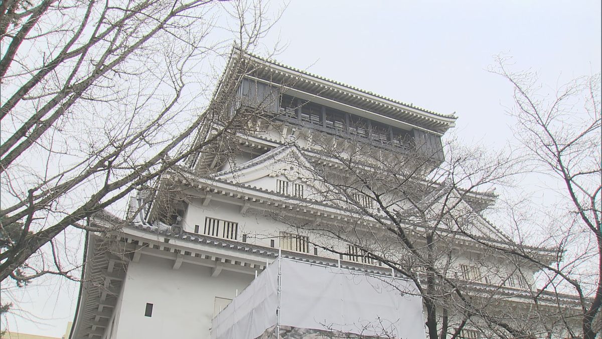 満開は1週間から10日後の見込み