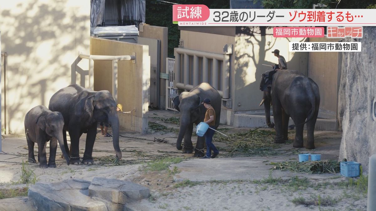 7月30日に到着