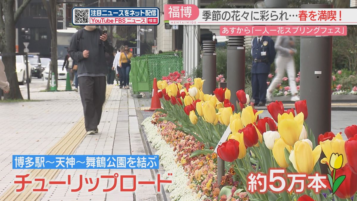 一人一花スプリングフェス　博多駅～天神～舞鶴公園を5万本の花で彩る「チューリップロード」に　福岡