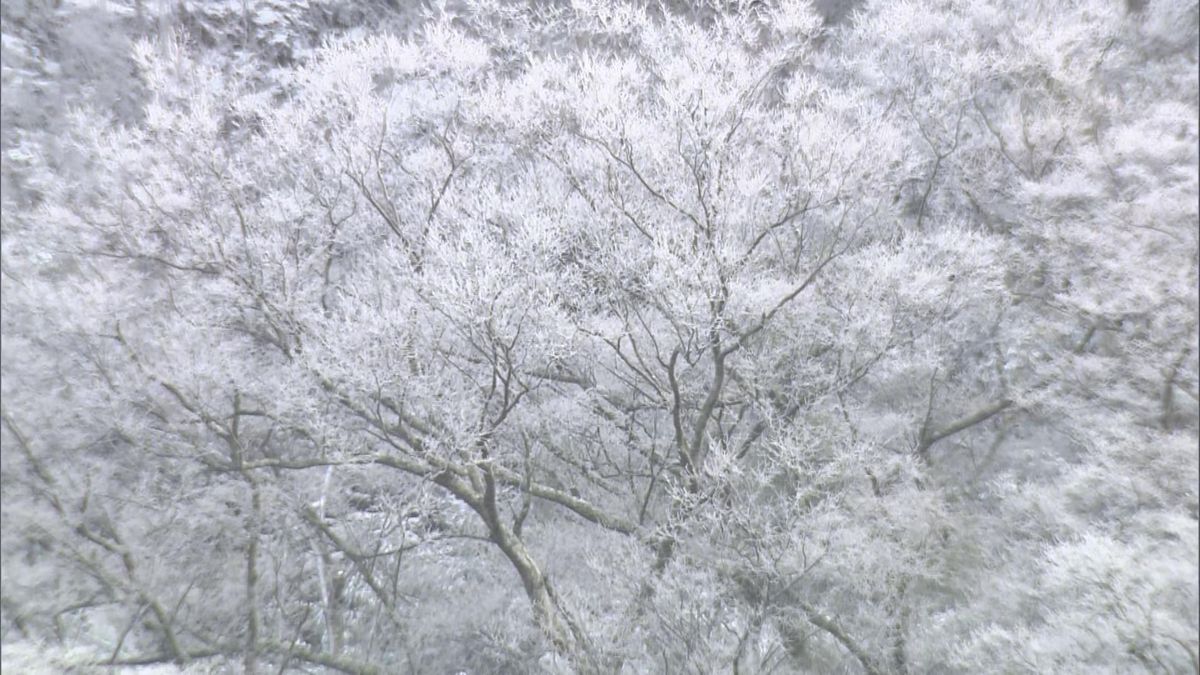 この冬一番の寒気（福岡・添田町で撮影）