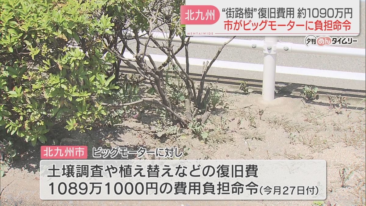 街路樹被害受け　北九州市がビッグモーターに約1090万円の復旧費用負担を命令