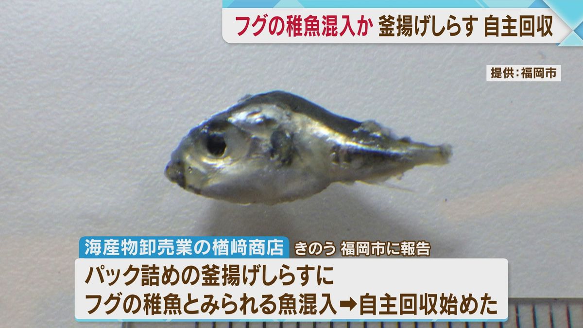 フグの稚魚混入か　釜揚げしらす自主回収　健康被害の報告なし