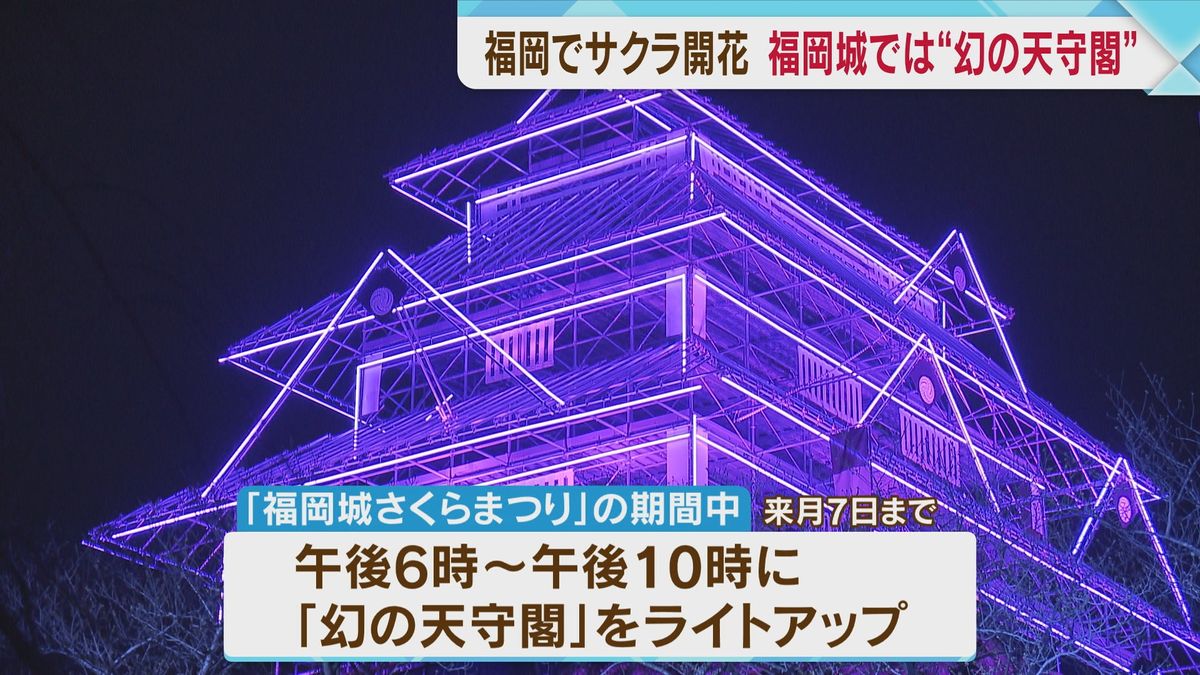 福岡の桜開花　幻の天守閣がライトアップ　福岡城さくらまつり　4月7日まで