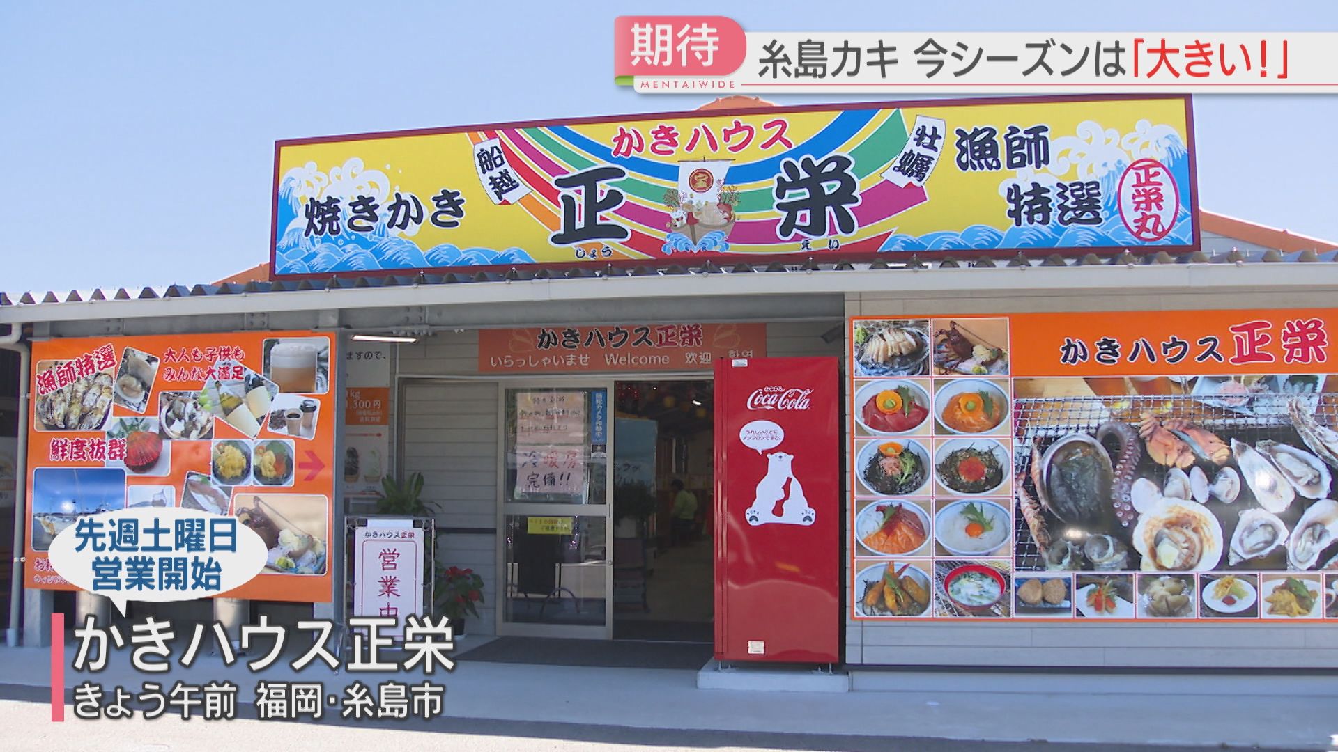 期待】「糸島カキ」今シーズンは「大きい」カキ小屋が続々オープン