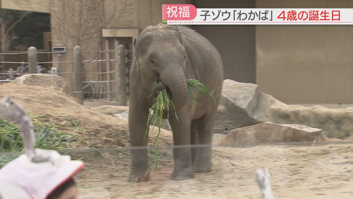 4歳の誕生日おめでとう