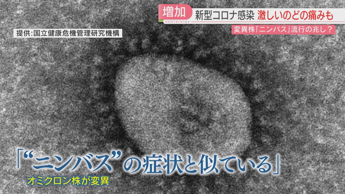 【新型コロナ】「カミソリを飲み込んだような痛み」変異株“ニンバス”か 福岡でも流行の兆し マスクは熱中症に注意を(2025年8月24日掲載 ...