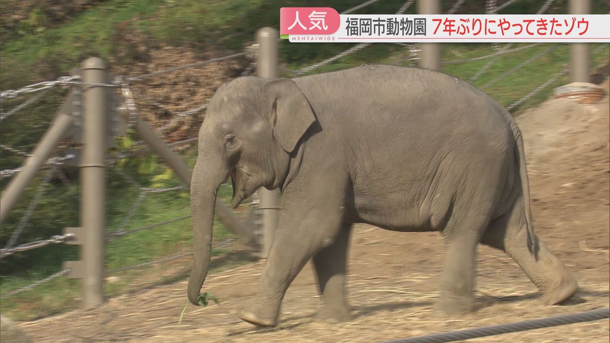 福岡市動物園