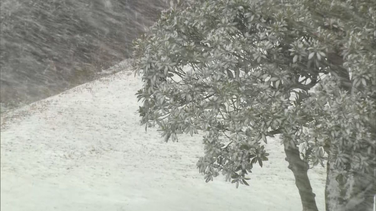 【注意】2月4日からこの冬一番の寒気襲来　九州北部は6日ごろにかけて大雪の恐れ　予想より南下すれば警報級に