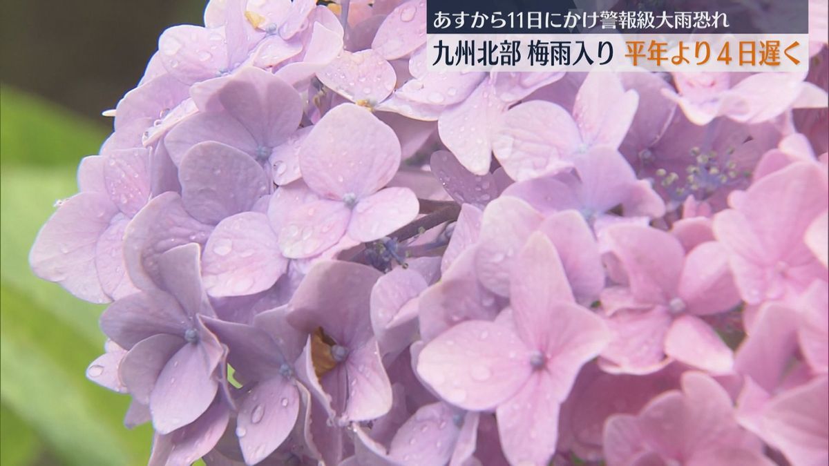 九州北部が梅雨入り 平年より4日遅く