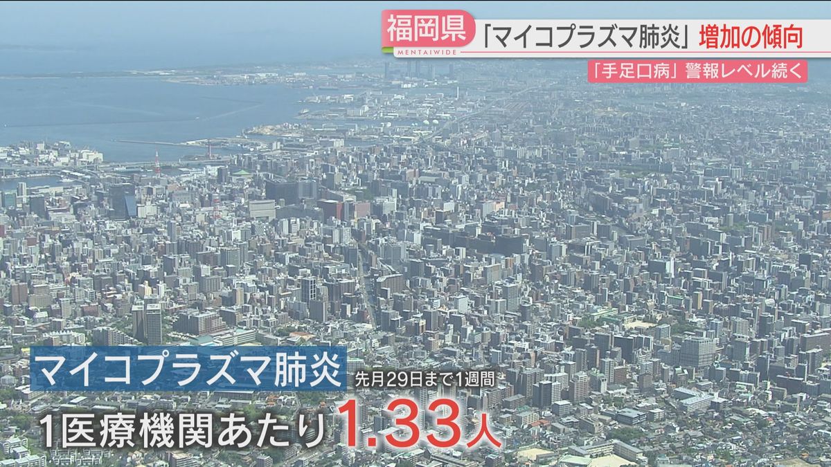 6月ごろから増加傾向