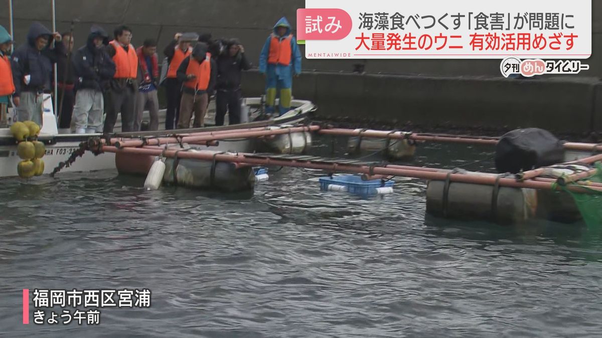 別の場所で養殖