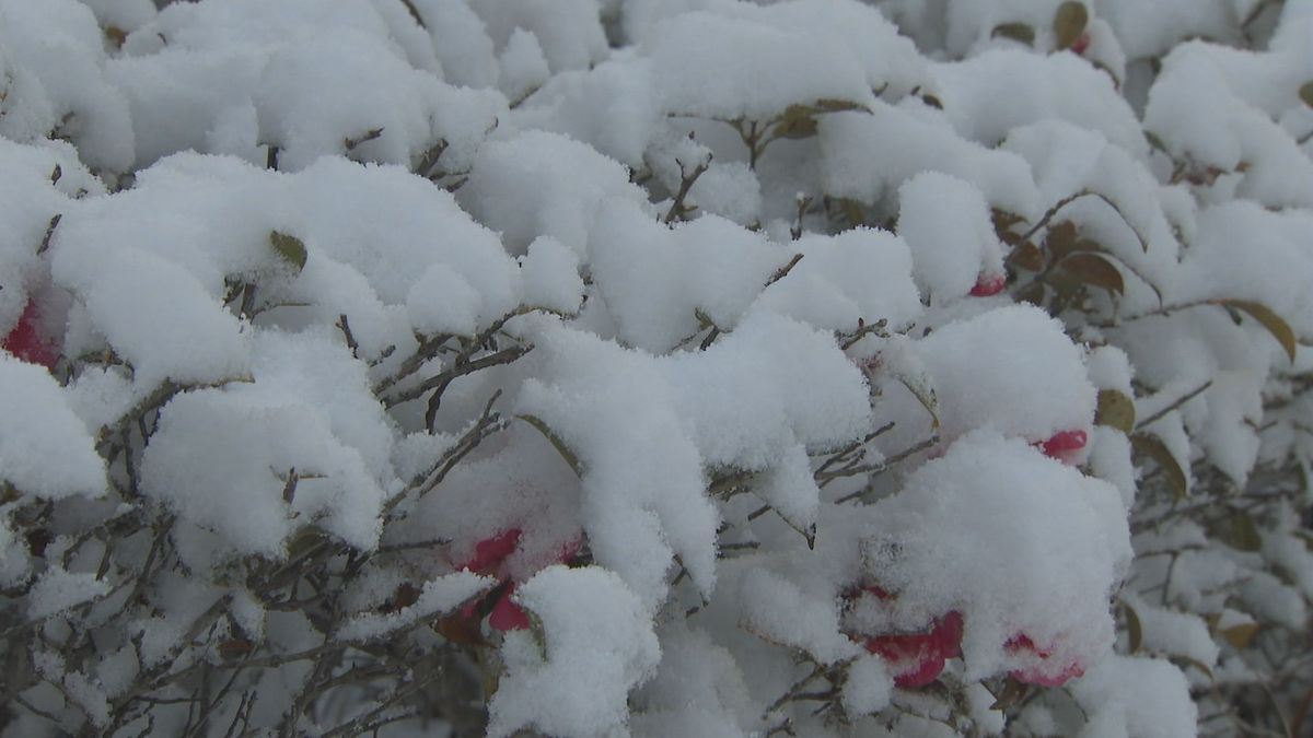 【気象台】佐賀で7日朝から8日にかけて山地を中心に大雪に注意　降雪量の予想を詳しく