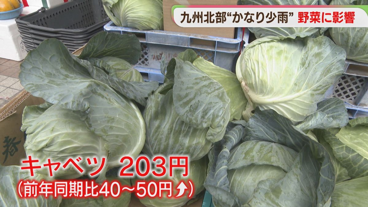 【少雨】葉物野菜の価格が上昇 農家「適度に降ってほしい」福岡（2026年5月22日掲載）｜FBS NEWS NNN