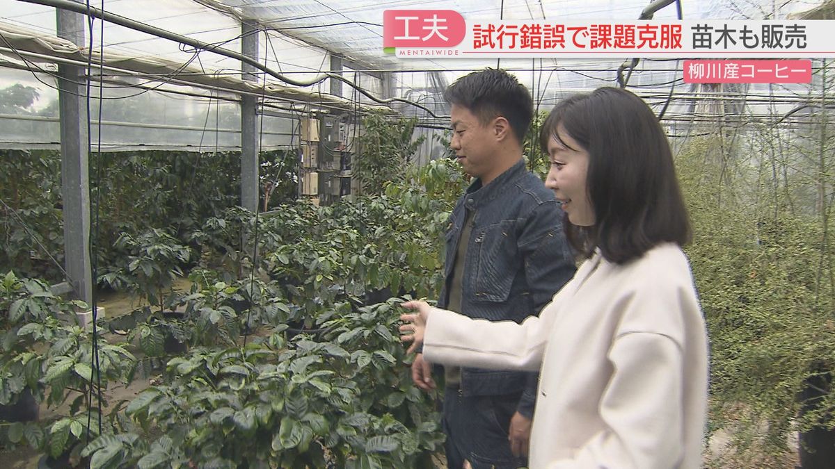 苗木を販売し栽培のノウハウを提供