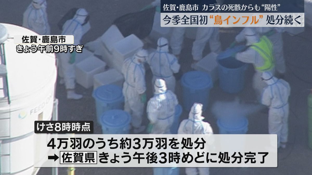 カラスの死骸からも陽性確認　佐賀・鹿島市で今季全国初の鳥インフルエンザ　養鶏場で４万羽の処分進む