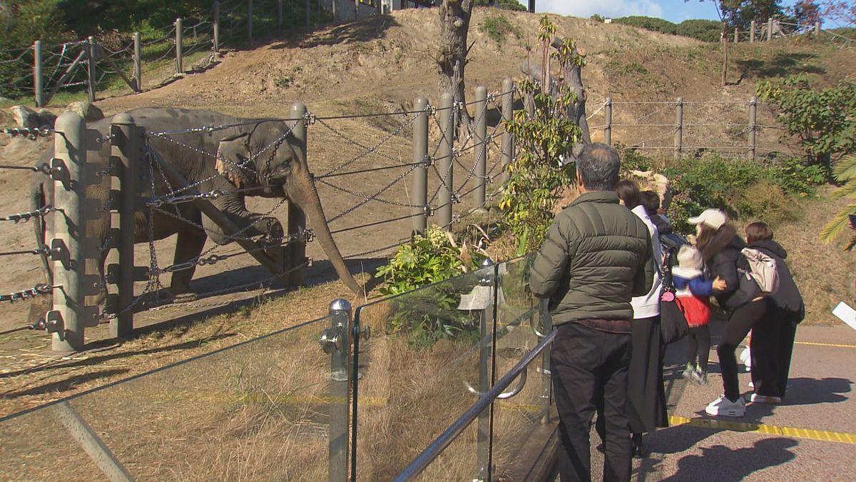 福岡市動物園（12日）