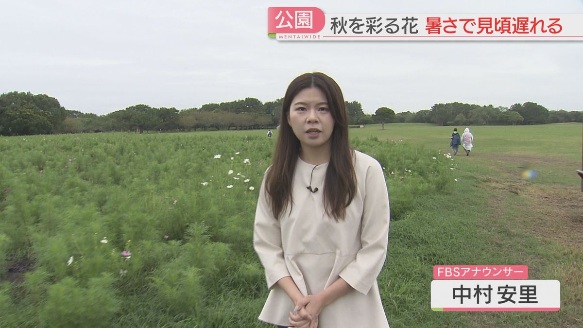 海の中道海浜公園