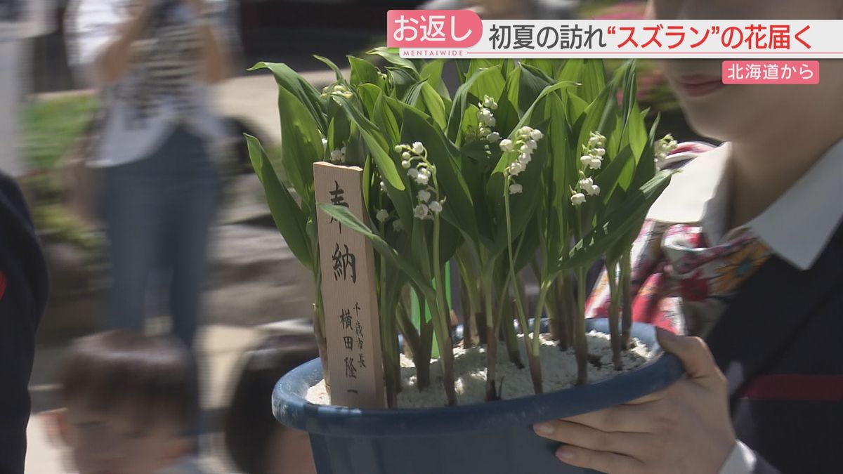 初夏の甘い香りスズランを太宰府天満宮に奉納　毎年1月に梅の花を北海道に贈り交流　福岡