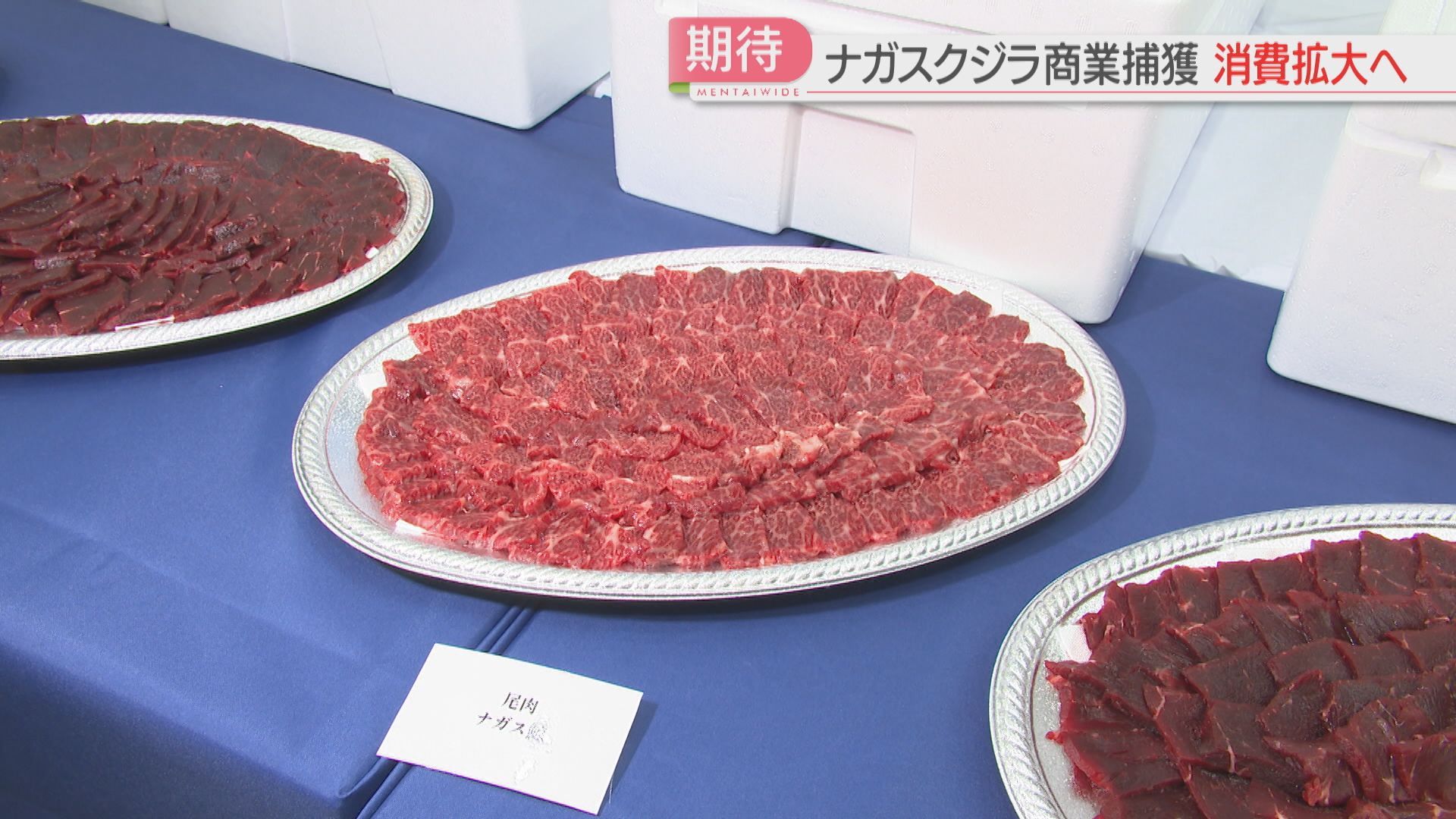クジラ肉」商談会で消費拡大へ “最高峰”ナガスクジラで「先入観