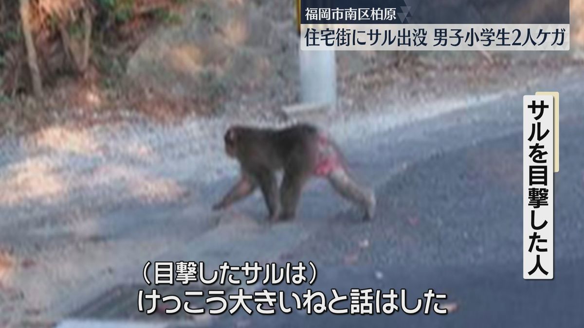「けっこう大きい」サルに襲われ児童2人ケガ　警察が警戒を呼びかけ