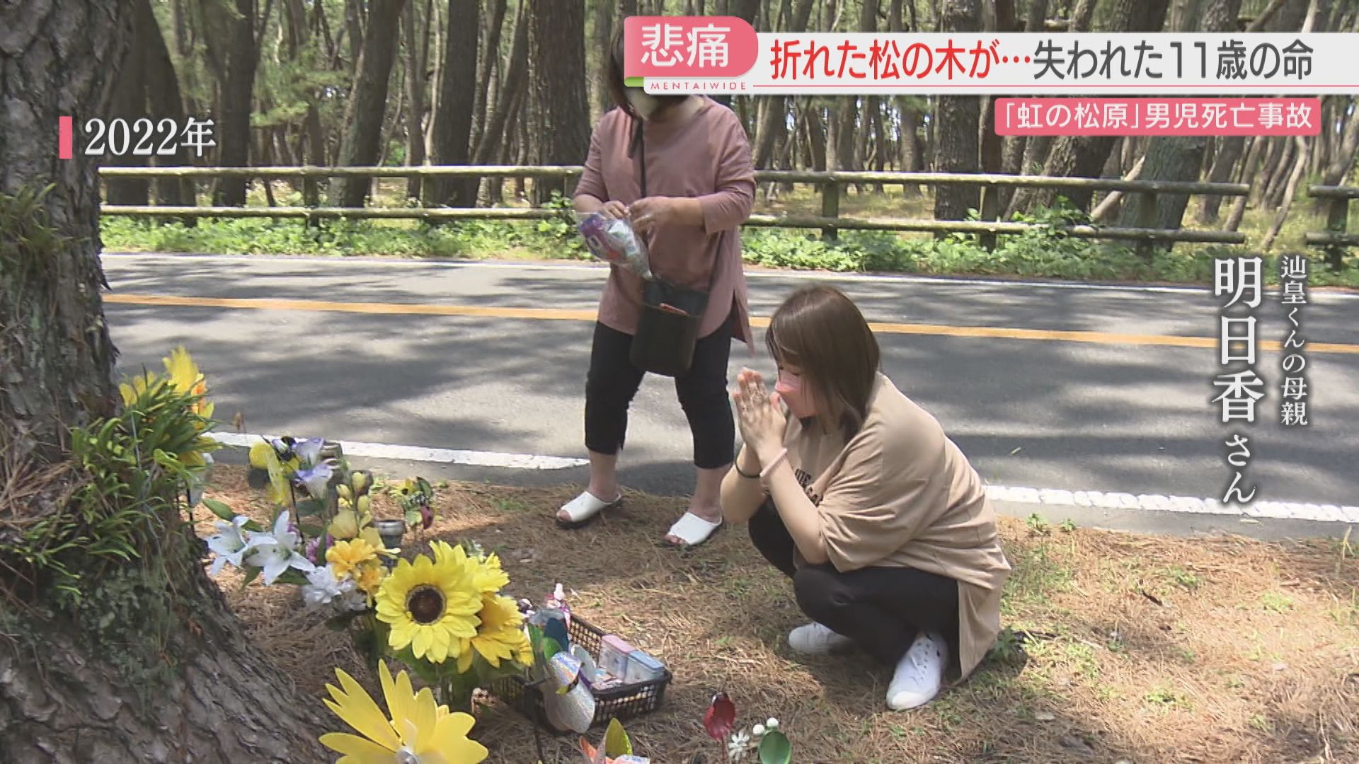 折れた松の木が奪った11歳の命「行政のずさんさが招いた事故」母が