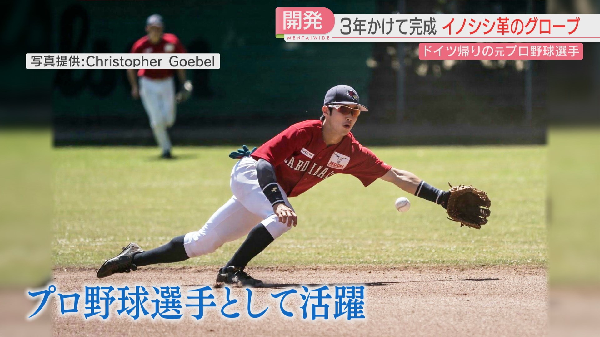 実使用グローブ バッティンググローブ プロ野球選手 NPB実使用 